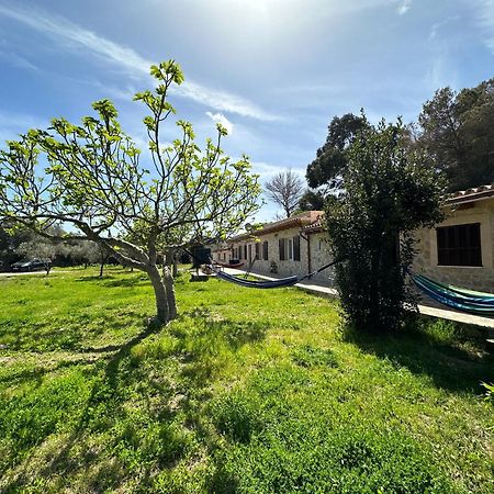 הוילה קאן פיקפורט Finca Roberto מראה חיצוני תמונה