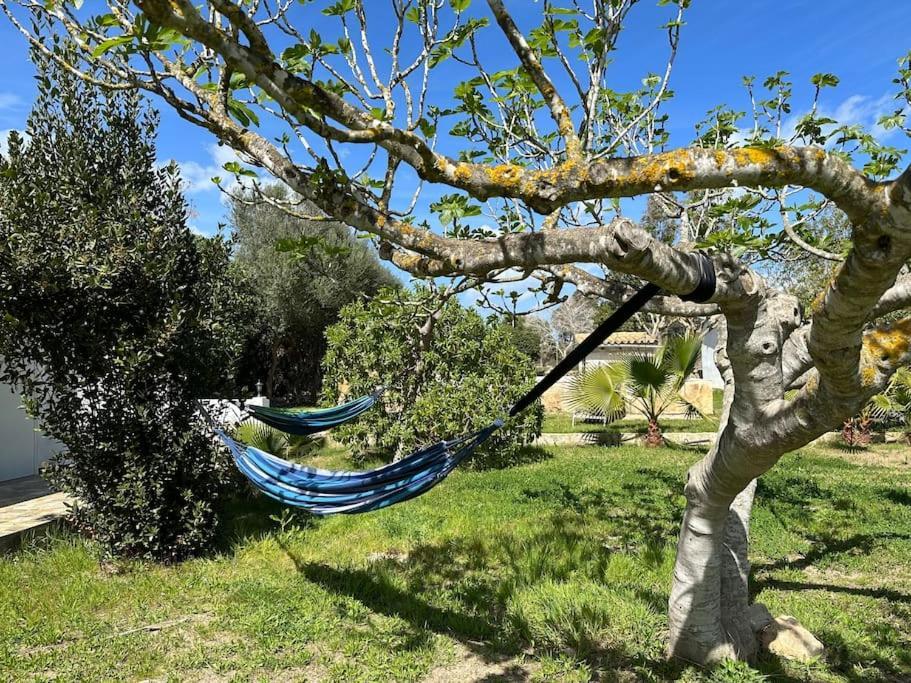 הוילה קאן פיקפורט Finca Roberto מראה חיצוני תמונה