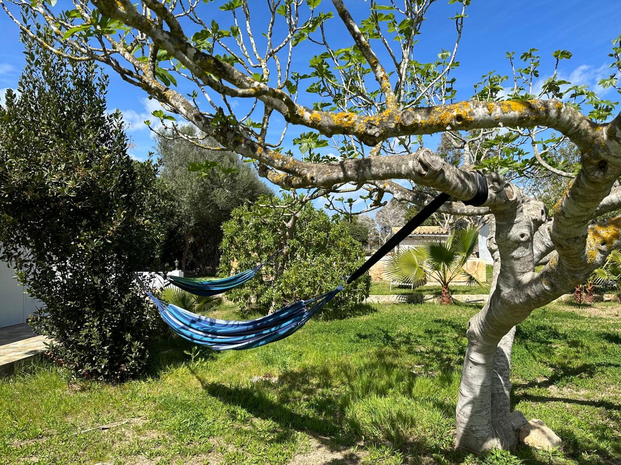 הוילה קאן פיקפורט Finca Roberto מראה חיצוני תמונה